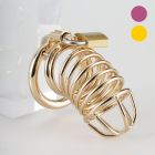 Gold Metal Chastity Cage Device(3 Rings)